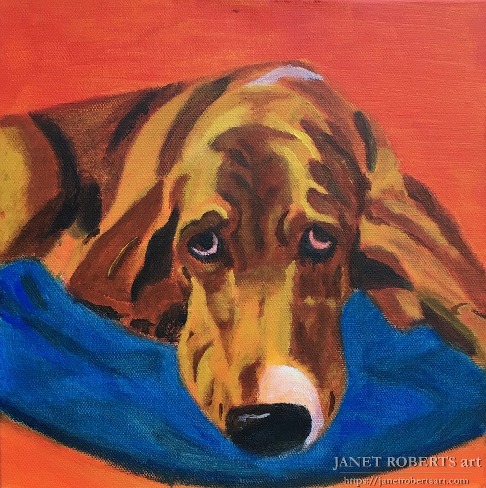 bassett_winston