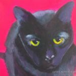 black_cat_eugene