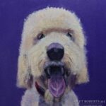 labradoodle_maxx