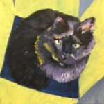 mainecoon_broc