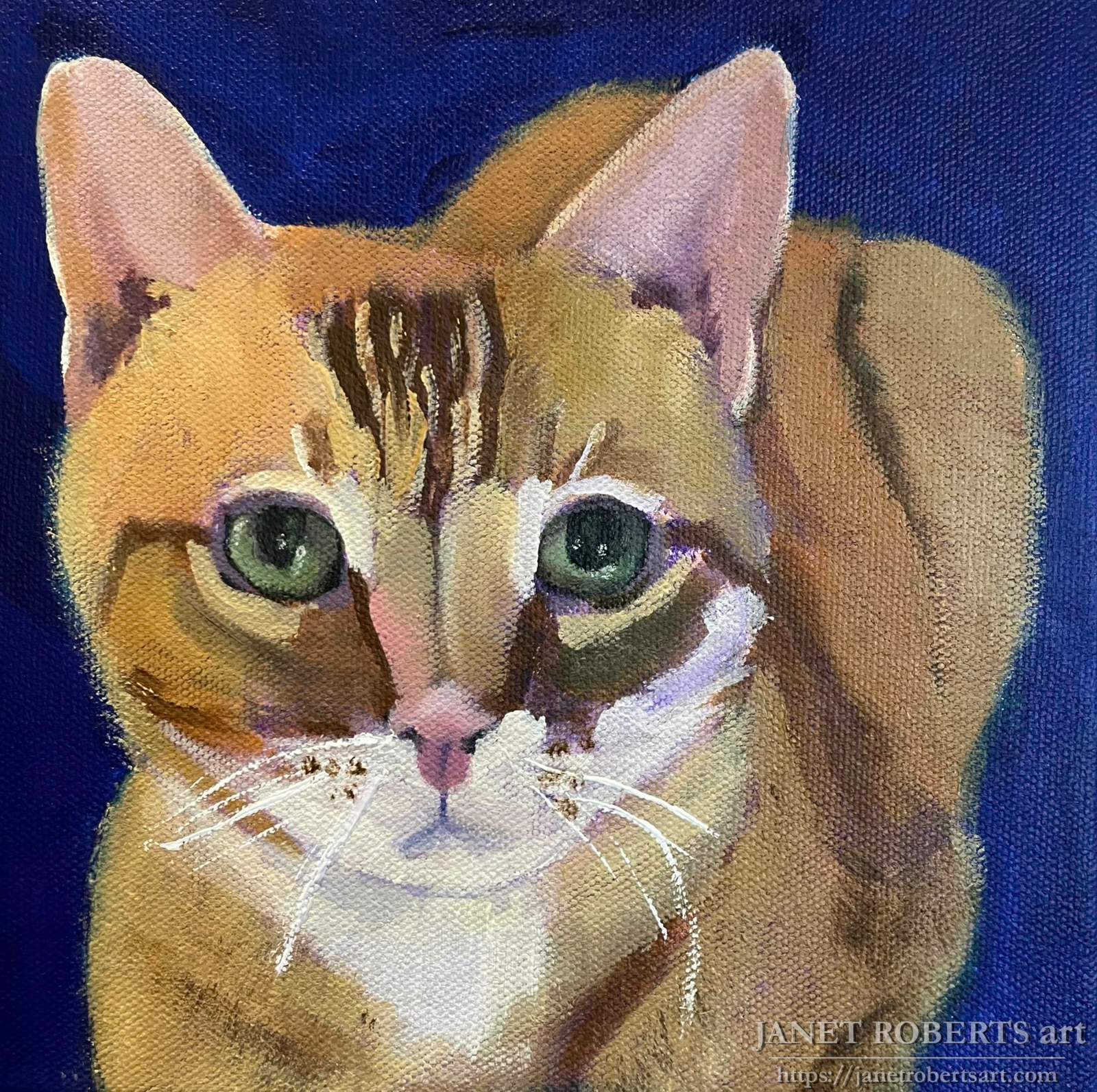 yellow_cat